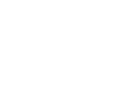 cart icon